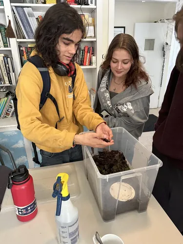 Members examining a skink during a biology activity
