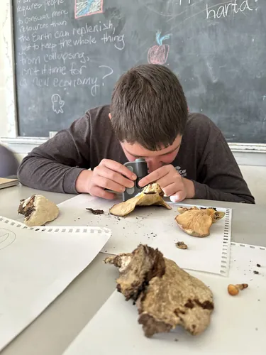 A member inspects a mushroom during nature class