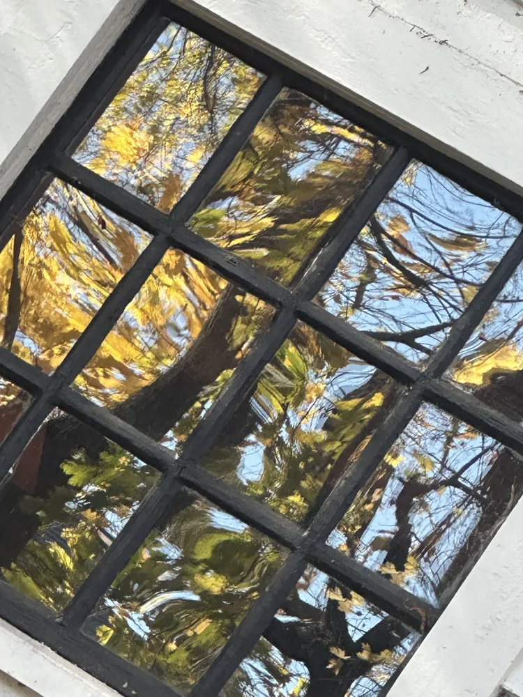 Leaves reflecting in a tilted window