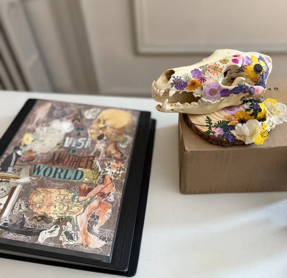 More of Sasha's multimedia art: flowers pressed onto a found coyote skull, plus collage.