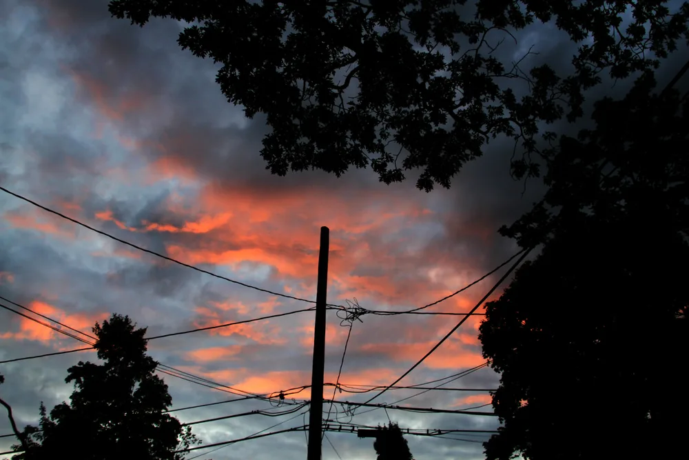 Electrical poles against a pink sunset